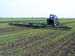 Spring harrow BPN-24 «Babochka»