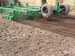 Semitowed combined cultivator KKP-6 «Cardinal»