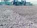 Semitowed combined cultivator KKP-6 «Cardinal»