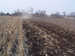 Disc harrow BGR-9,3 «Solokha» with soil compactor 